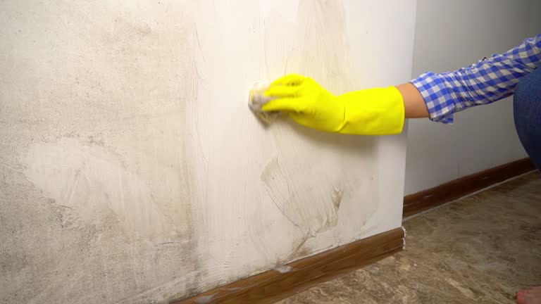 Best Air Quality Testing for Mold Spores  in Evergreen, MT