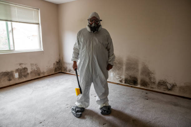 Best Mold Odor Removal Services  in Evergreen, MT